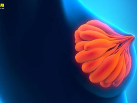 Điều trị viêm tắc tia sữa