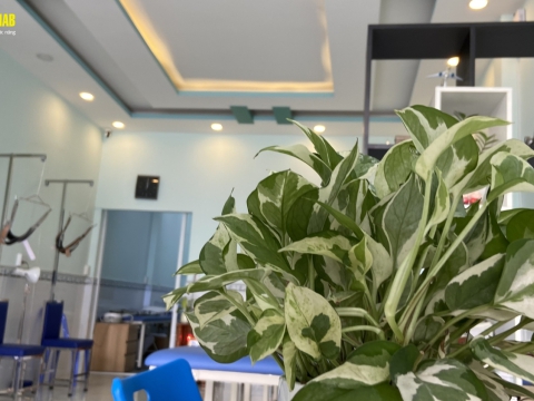 Phòng khám 372A Hà huy giáp