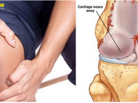 Tác nhân vật lý